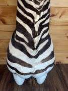 African Zebra Shoulder Mount- 44” long