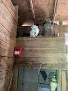 Trunk, Milk Can, Wheel Pump & More