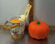 Tote of Fall Decor