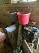 Non Running Equitment, Boat Motor, Milk Cans & More