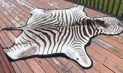 Zebra Rug (10’ nose to tail & 59” wide)