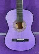 Acoustic 6 String Guitar