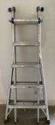 Werner 21’ Muti Position Ladder