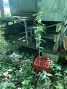 5'x5' Hunting Shack Mounted to Trailer Buyer Responsible for Removal