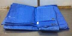 Blue Tarp