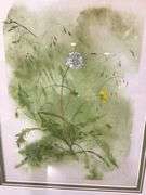 Watercolor Dandelions by M. Brinker ‘73
