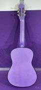 Acoustic 6 String Guitar