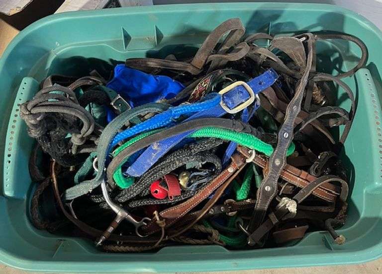 Assortment of Horse Halters, etc