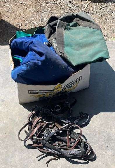 Horse Blankets, Straps, Halters