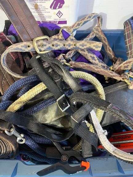 Horse Supplies /Halters