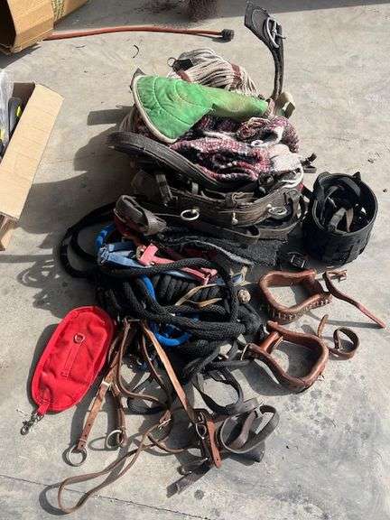 Horse Halters, Ropes, Tackles