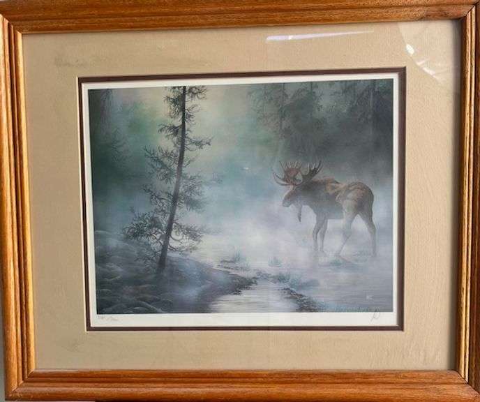 Moose in the Fog