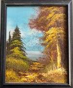 Rugged Cabin 11X9.5