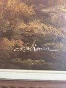 Sunlit Gorge 55X32