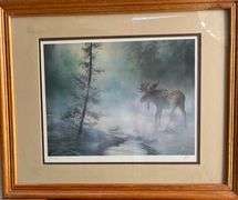 Moose in the Fog
