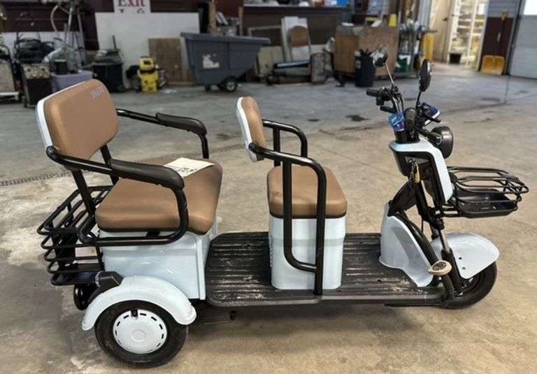 Mini Electric Tricycle Golf Cart Model: IRGC40