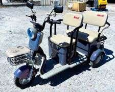 Mini Electric Tricycle Golf Cart Model: IRGC40