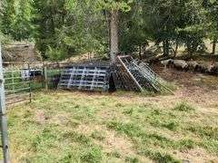 Rodeo/Corral QTY 19 Panels Height 6Ft X 10FT Wide and 1 Gate Height 8Ft X 10Ft Wide
