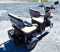 Mini Electric Tricycle Golf Cart Model: IRGC40