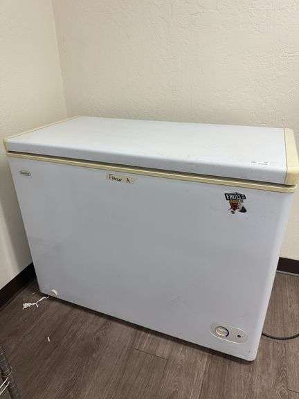 Chest Freezer With Contents