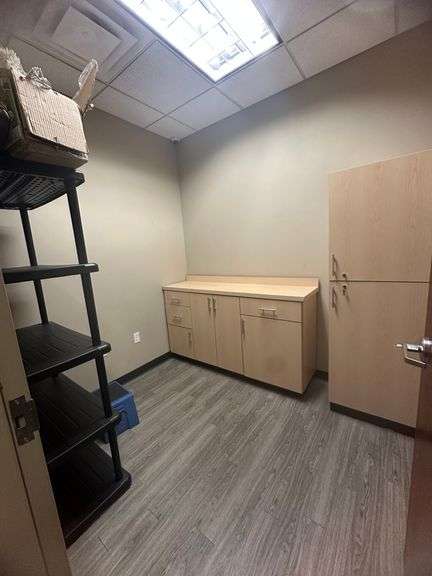 Contents of Room including 2-door Cabinet (17"x24"x73" including keys), Wood Cabinet (67.5"x18"x38")