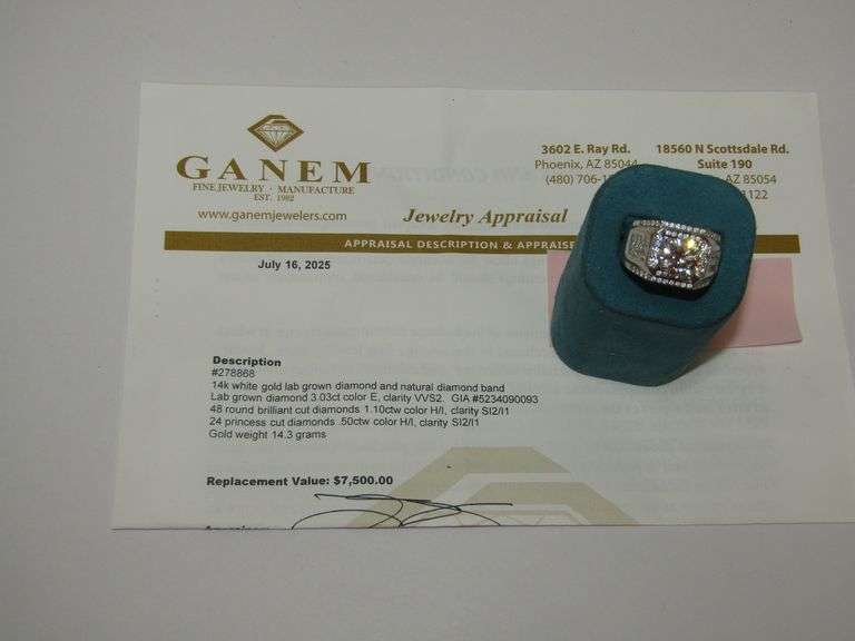 14k WG Lab & Natural Diamond Band 14.3gtw w/Appraisal