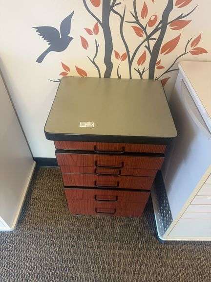 Dental Assistants 6 Drawer Cabinet On Wheels 18” x 15” x 28” With All Contents ( WINNING BIDDER MUST