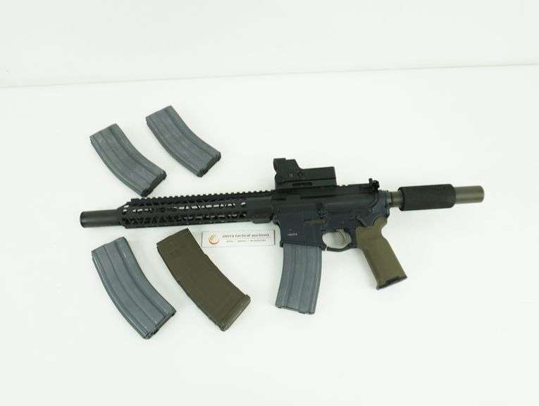 PALMETTO STATE ARMORY PA-15-Condition VERY GOOD - Sierra Tactical