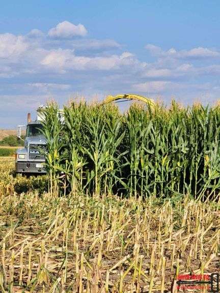 100 tons 2025 Corn Silage