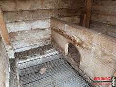 Rabbit Hutch