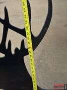 Deer Shooting Target