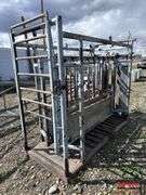 Cattle Chute