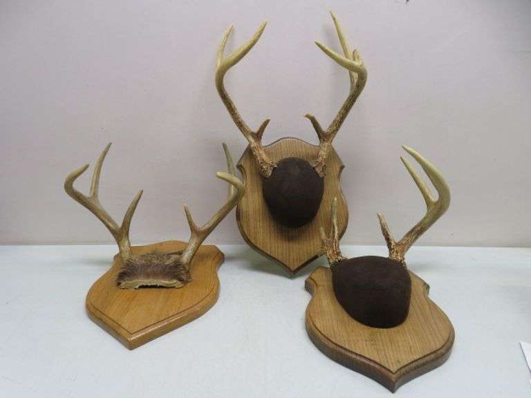 Deer Horn Mounts