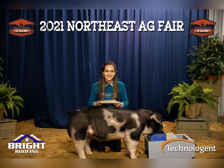 Autumn Juettemeyer James Madison FFA