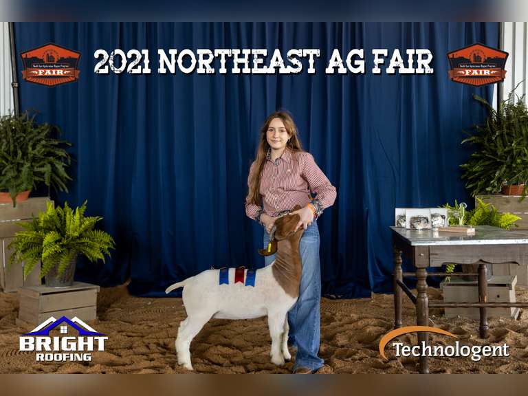 Elizabeth Smith James Madison FFA