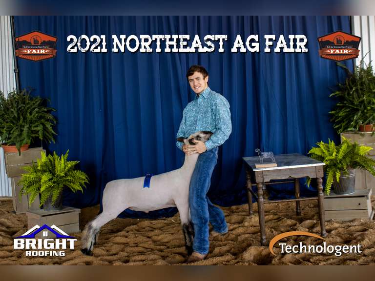 Shepherd Smith James Madison FFA