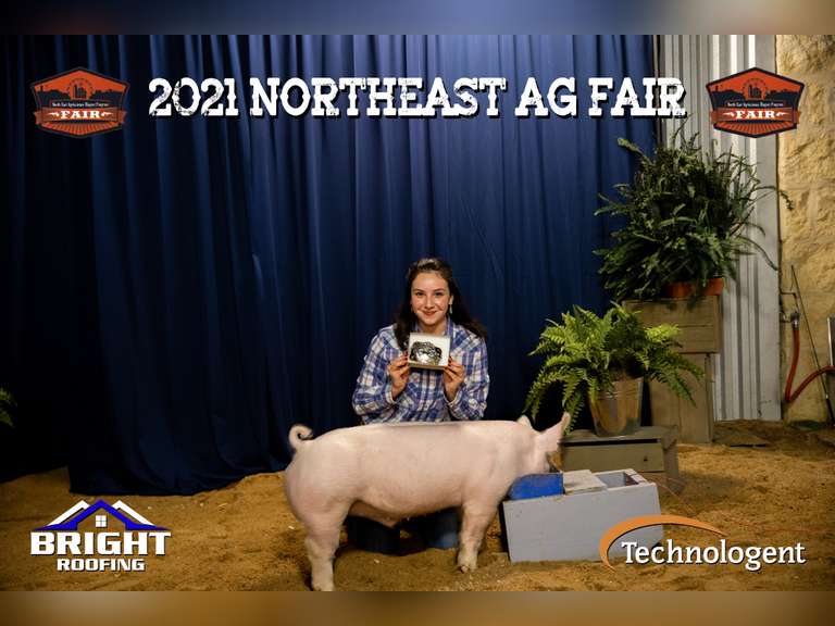 Madeline Ortega James Madison FFA