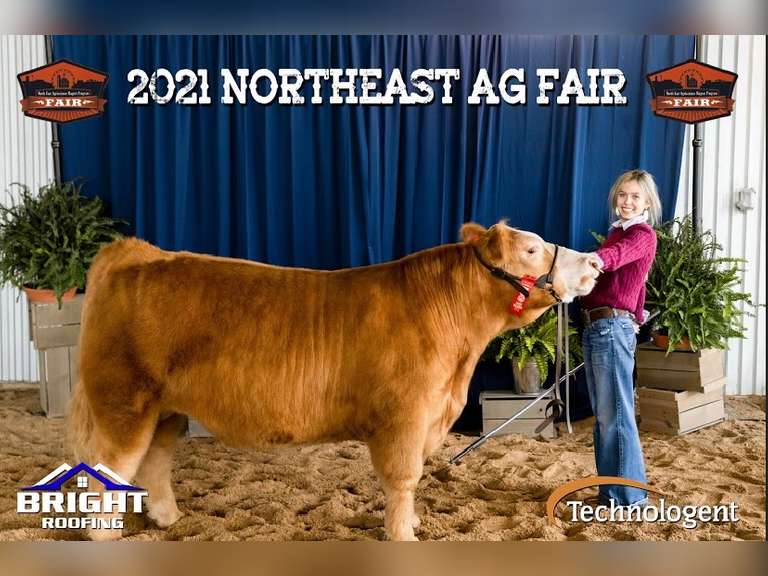 Claire Lara  James Madison FFA