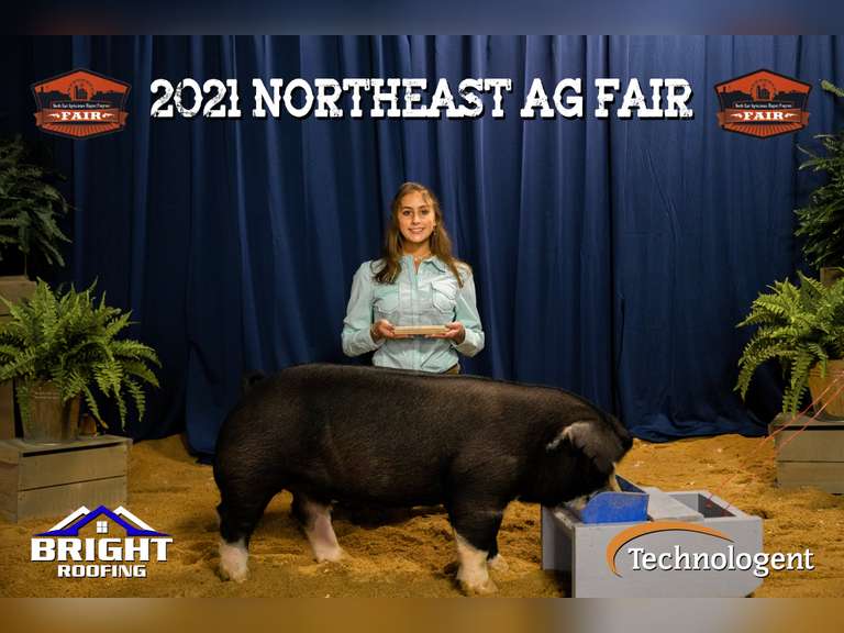 Mia Wildeman  James Madison FFA