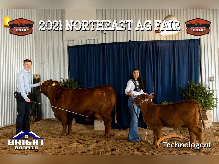 Chase Lund  James Madison FFA