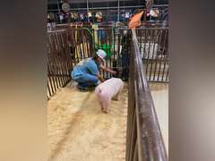 Haden Carlile James Madison FFA