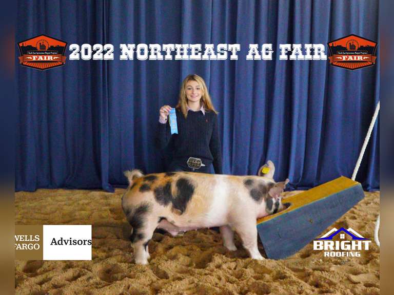 Hannah  McMullan  James Madison FFA