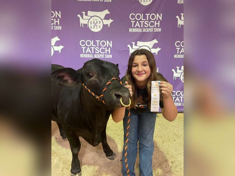 Kendall  McMullan  James Madison FFA