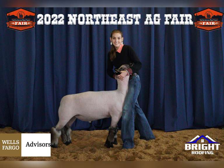 Hailey Hunt James Madison FFA