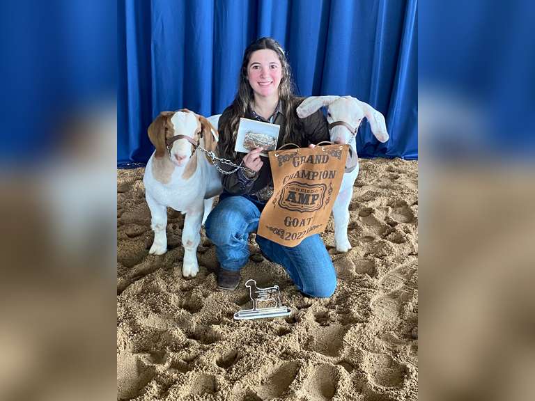 Sierra Gonzalez  James Madison FFA