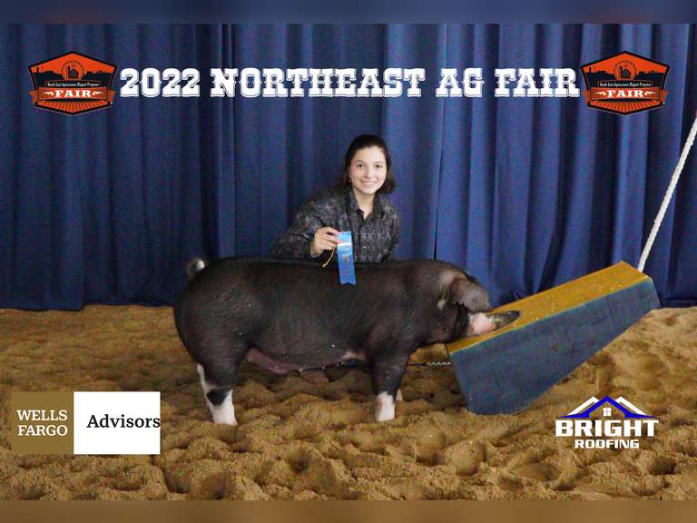 Alaina Rodriguez James Madison FFA