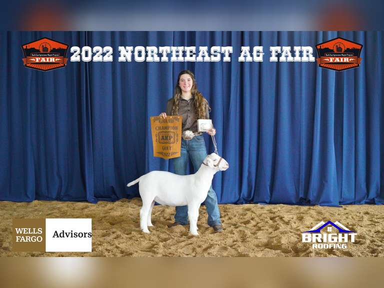 Sierra Gonzalez  James Madison FFA