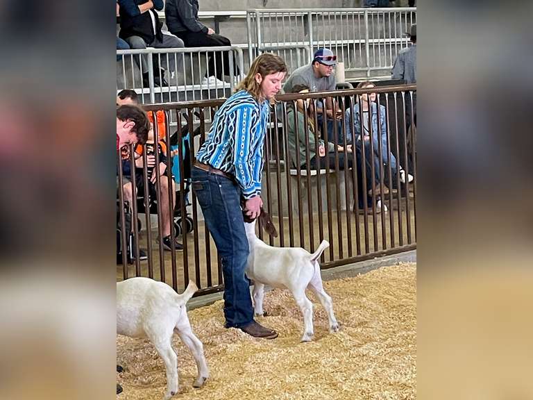 Braydon Thomas James Madison FFA