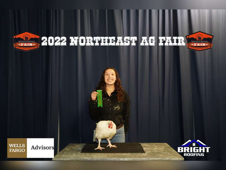 Isabella  Gonzalez James Madison FFA