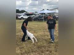 Patricia Torres James Madison FFA